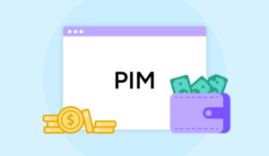 PIM Pricing for Retailers: What Really Drives the Cost